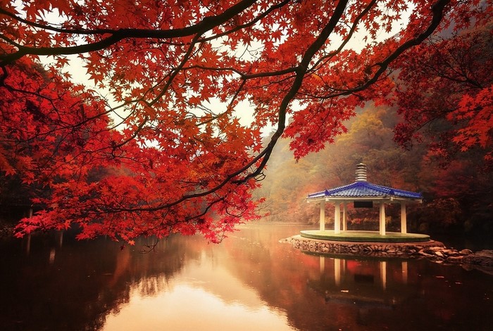 Autumn lake with red maple leaves and a gazebo