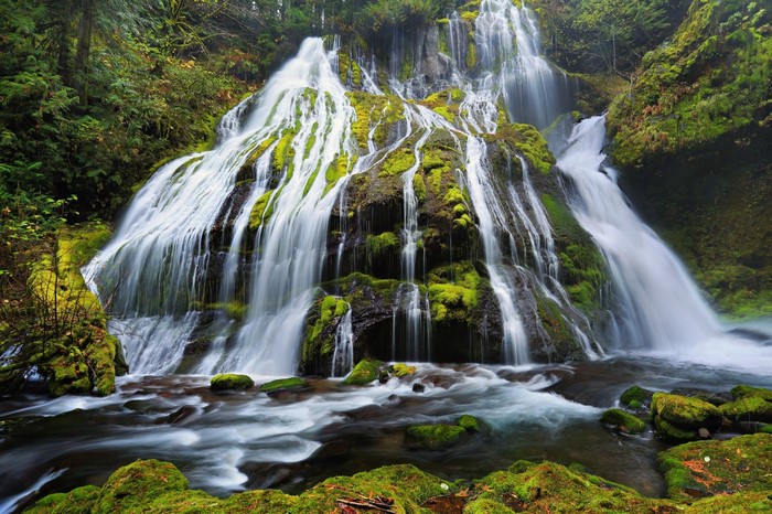 Mossy waterfall cascading down rocks in a forest