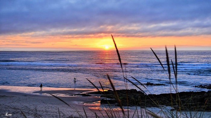 Surfers at sunset on a beach