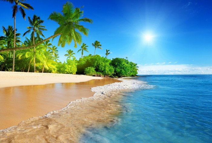 Tropical beach with palm trees and ocean waves
