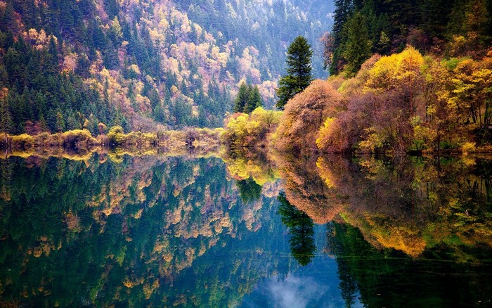 Autumn forest reflected in a calm lake in China