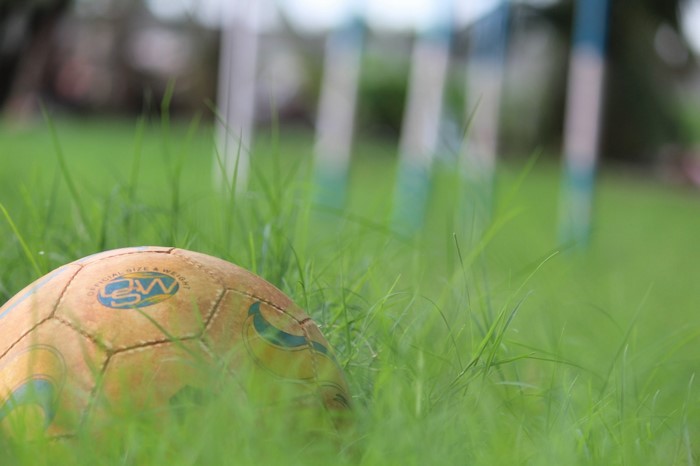 Soccer ball in green grass