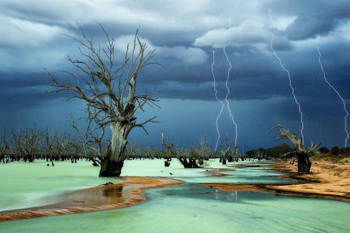 Dead trees in a lake during a lightning storm