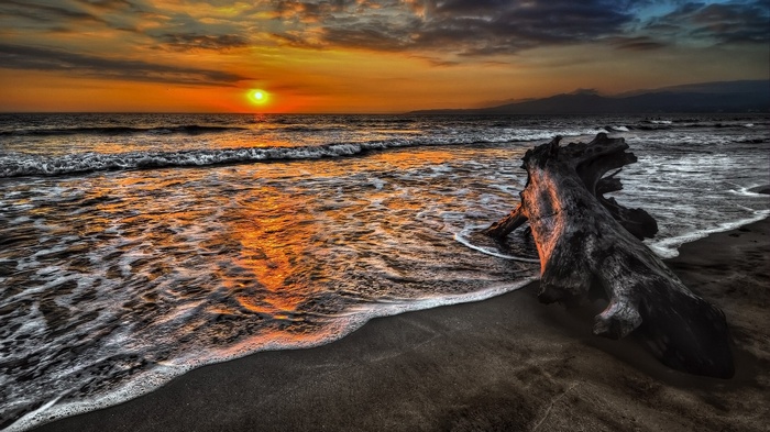 Sunset over the ocean with driftwood on the beach