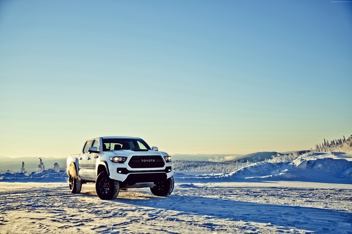 White Toyota Tacoma TRD in a Snowy Landscape