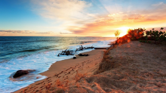 Sunset over a sandy beach with driftwood