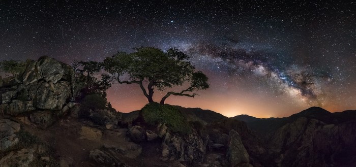 Milky Way over a lone tree on rocky terrain