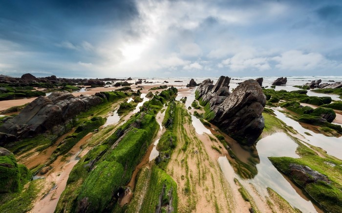 Mossy rocks and tidal pools on a sandy beach under a cloudy sky