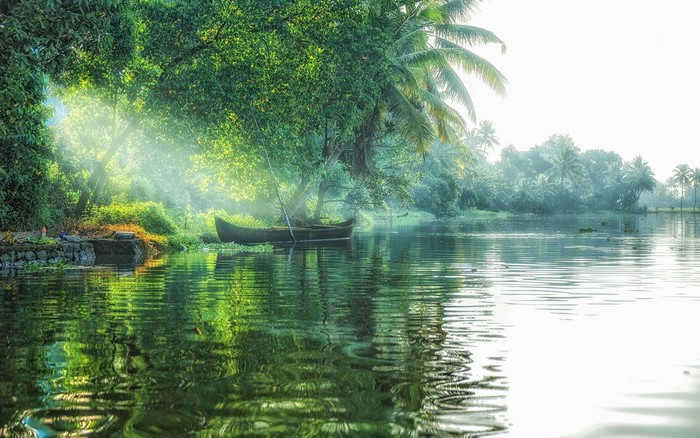 Sunlight filtering through trees onto a boat on a tropical river