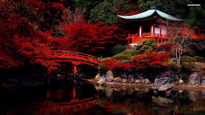 Japanese temple with red bridge and autumn foliage