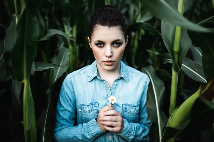 Woman in denim shirt holding a daisy in a cornfield