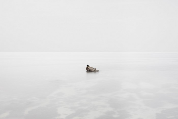 Minimalist seascape with a rock and two birds