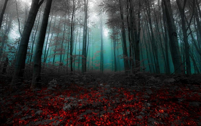 Misty forest with red leaves and blue light