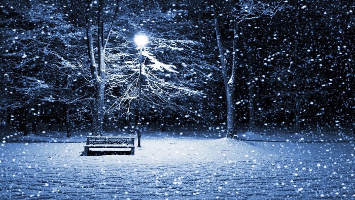Snowy park at night with a bench and lamppost