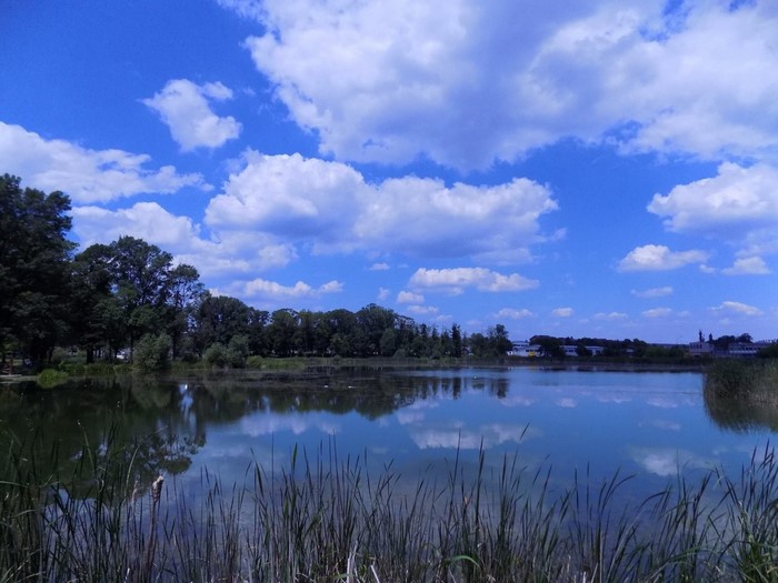 Lake with trees and clouds reflected in the water