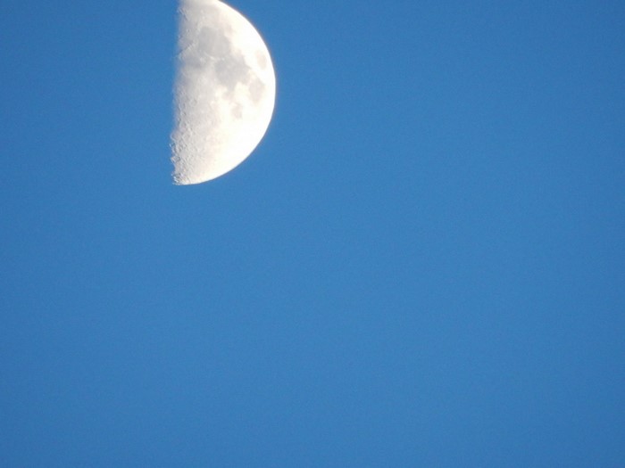 Half moon in a clear blue sky
