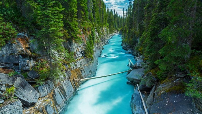 Turquoise river flowing through a rocky canyon with pine trees