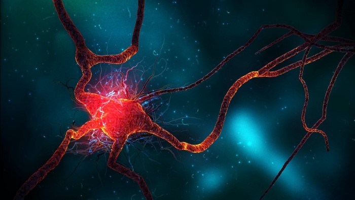Illustration of a neuron with glowing red cell body and branches