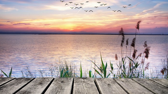 Wooden pier at sunset with birds flying over the sea