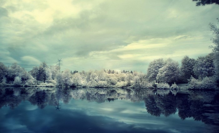 Trees reflected in a lake under a cloudy sky