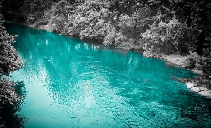 Turquoise river flowing through a forest