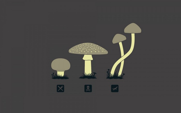 Minimalist illustration of mushrooms with icons