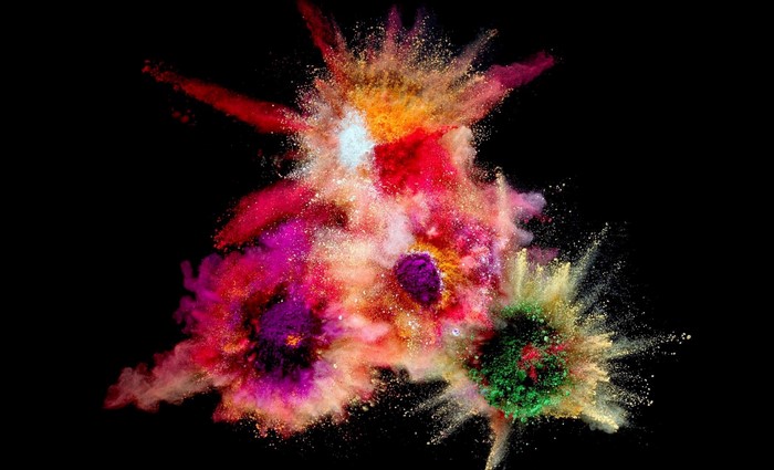 Colorful powder explosion with black background