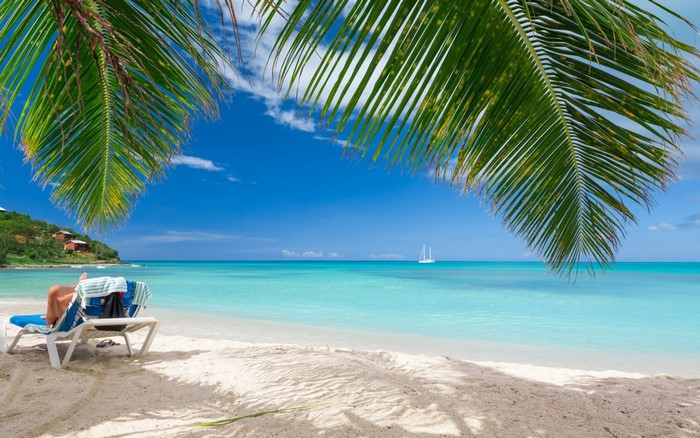 Tropical beach with palm trees and a sailboat