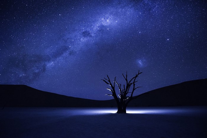 Dead tree under the Milky Way in Namibia
