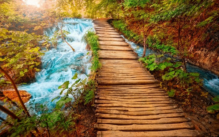 Wooden walkway along a flowing stream in a forest