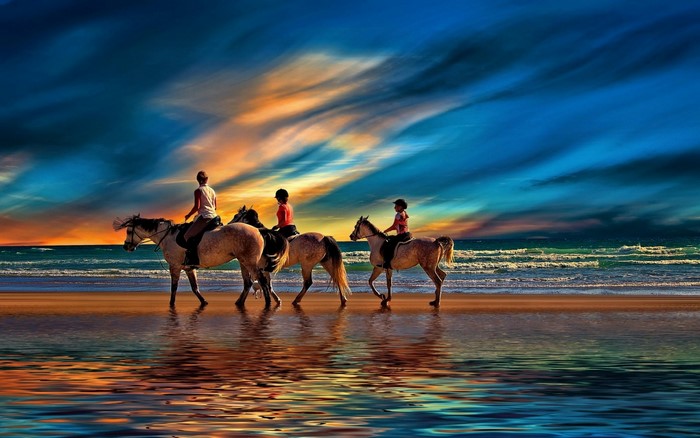 People riding horses on a beach at sunset