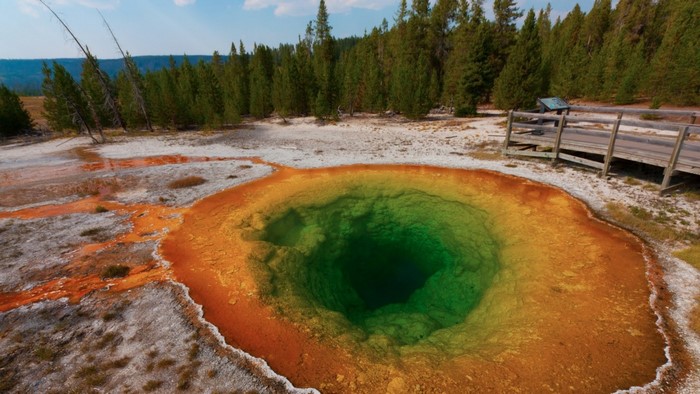 Morning Glory Pool in Yellowstone National Park