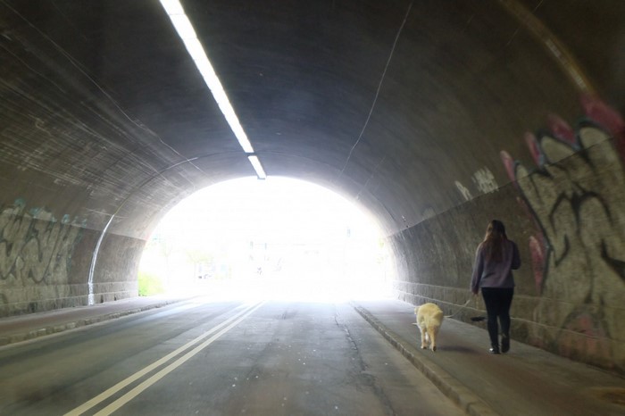 Woman walking a dog in a graffiti-covered tunnel