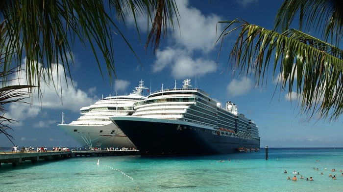 Two cruise ships docked at a tropical pier with palm trees