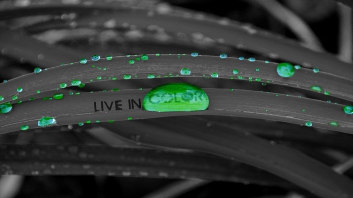 Selective coloring of water drops on grass with text