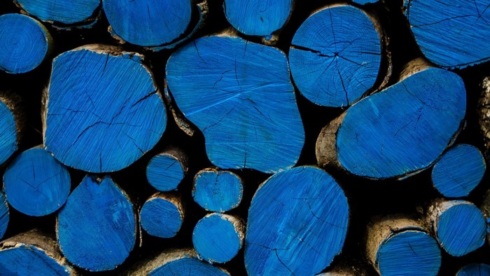 Close-up of blue painted wood logs