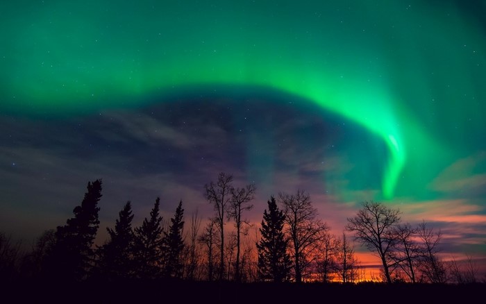 Aurora Borealis over silhouetted trees