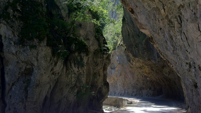 Road through a rocky canyon with trees