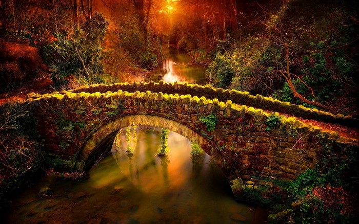 Stone bridge over a river in a forest at sunset