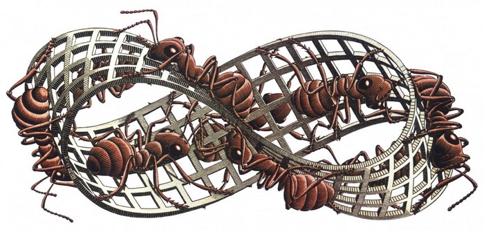 Ants on a Mobius Strip by M.C. Escher