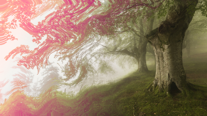 Psychedelic forest with sunlight and trees