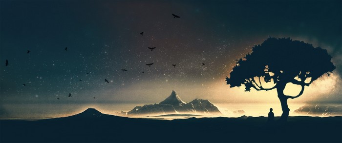 Silhouette of a person under a tree with mountains and birds in the sky