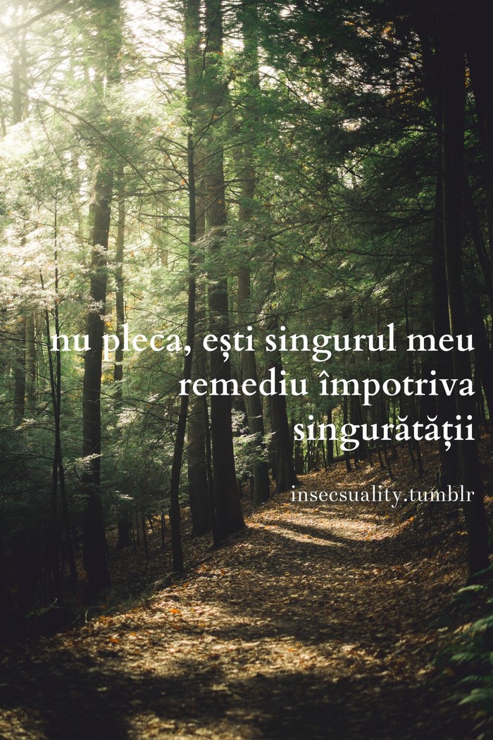 Quote about loneliness in a forest