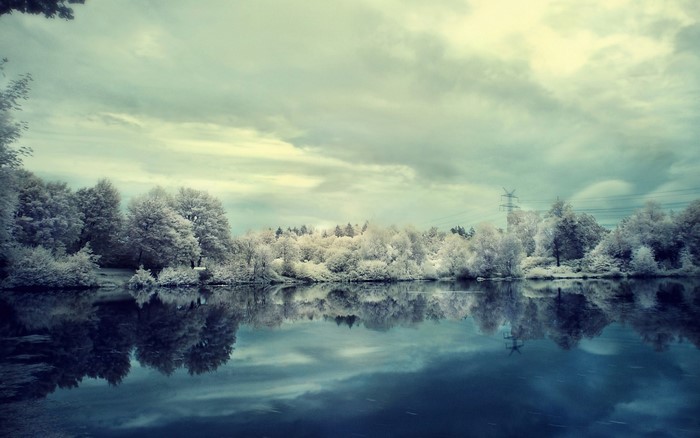 Trees reflected in a lake under a cloudy sky