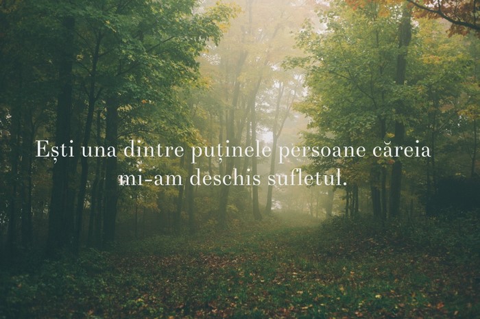 Quote about opening up in a misty forest