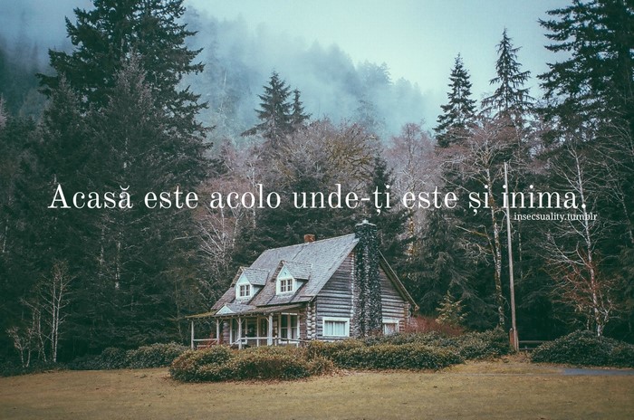 Log cabin in a misty forest with a Romanian quote
