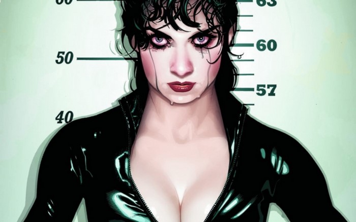 Catwoman from DC Comics by Adam Hughes
