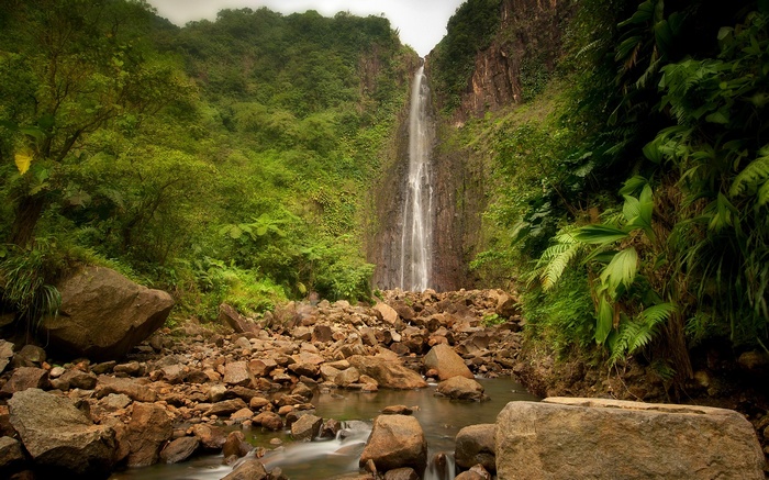 Waterfall cascading down a rocky cliff in a dense jungle