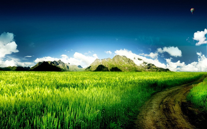 Dirt road through a green field towards mountains