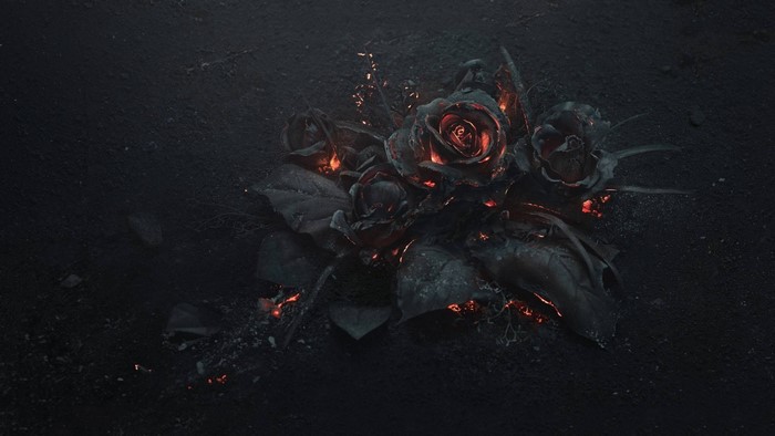 Burning black roses on dark ground